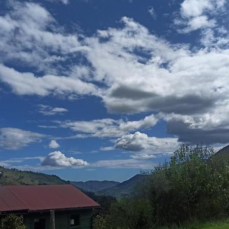 Agriturismo Il Mulino Stibiveri Экстерьер фото