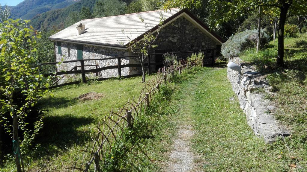 Agriturismo Il Mulino Stibiveri Экстерьер фото